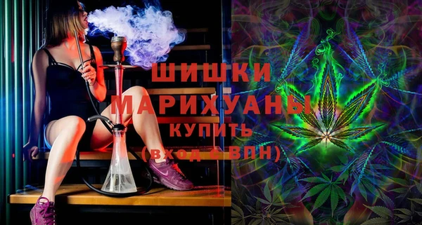 мдпв Няндома