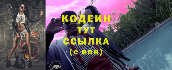 мдпв Няндома