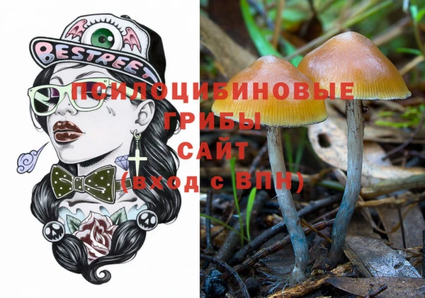 PSILOCYBIN Нягань