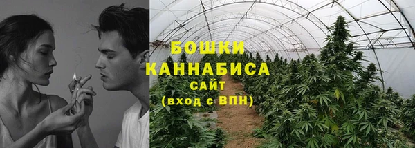 PSILOCYBIN Нягань